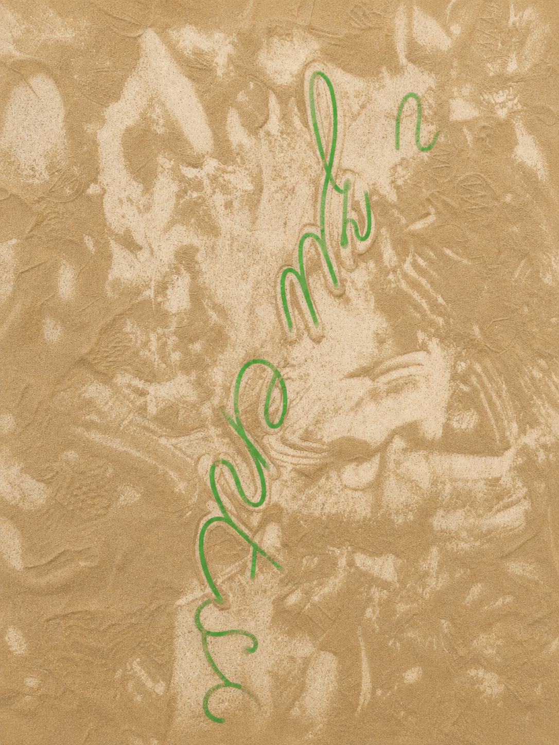 Detail of a floor installation composed of mealworm frass covering green cursive text. Portions of the lettering remain visible through the powder, while footprints and traces create layered surface patterns. By Yana Zschiedrich