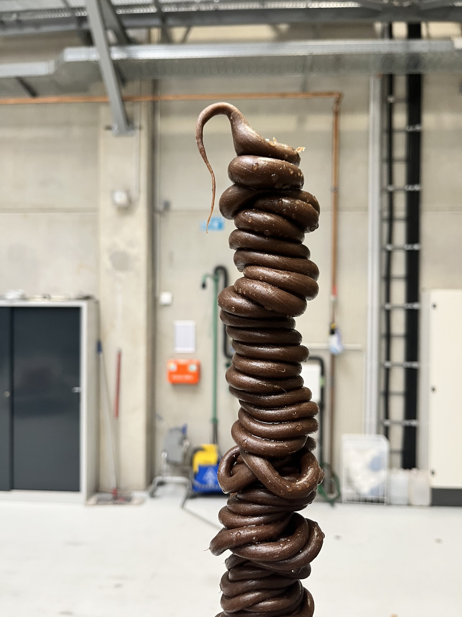 In Entwicklung: ein GEOBRiS Filament aus Mehlwurmkot von Yana Zschiedrich gemeinsam mit MERGE (TU-Chemnitz) unterstützt durch die FUNKEN Akademie. In der Werkstatt steht ein brauner Wurst-Haufen.